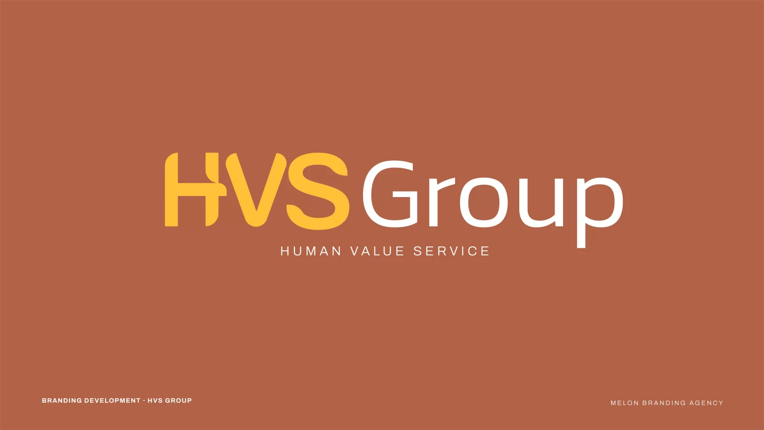 HVS_Group