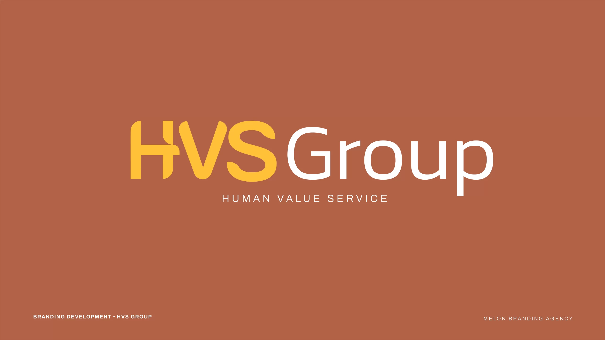 HVS Group