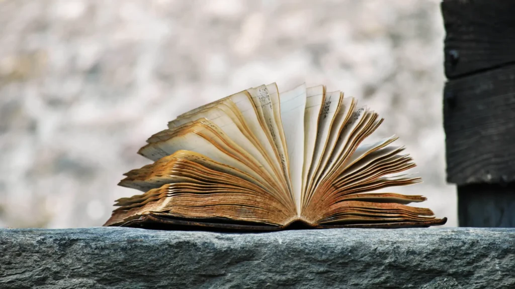 Brand Book