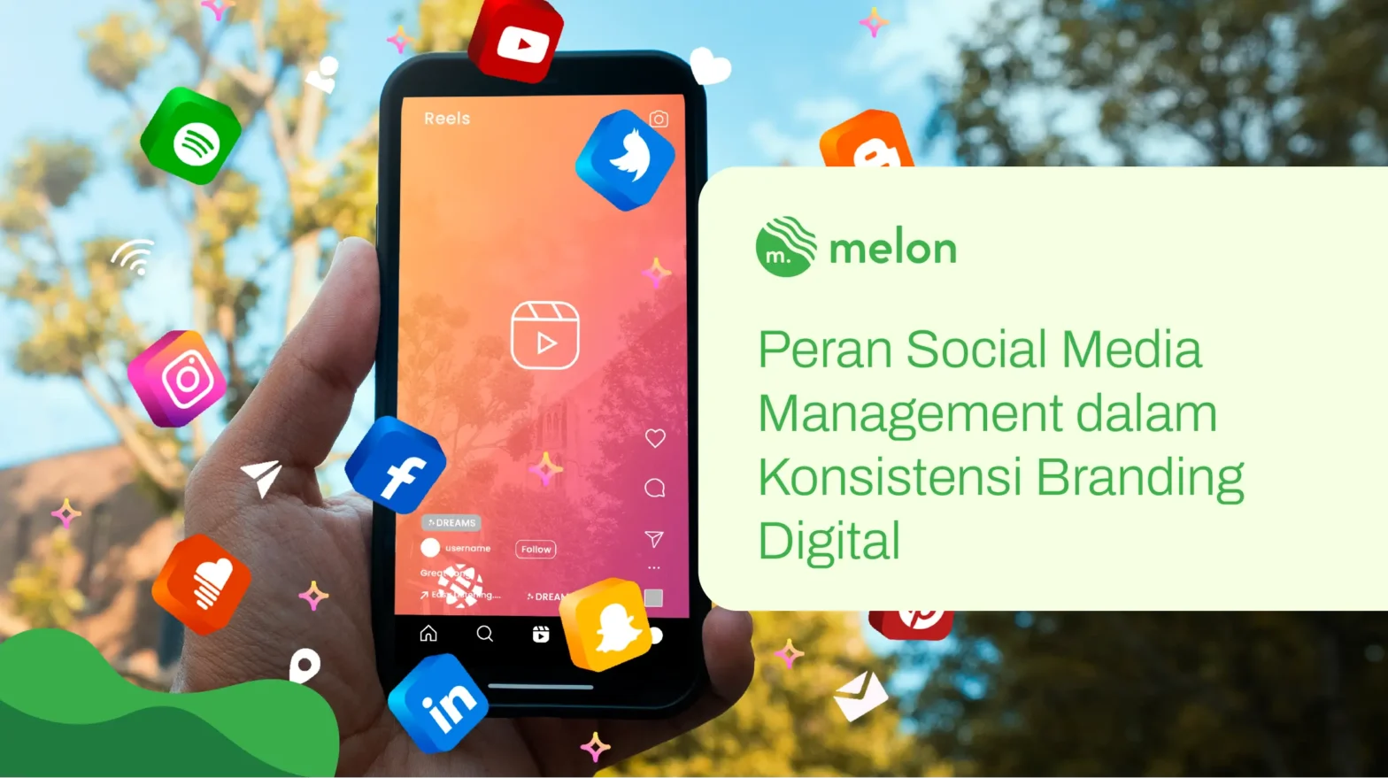 social media management