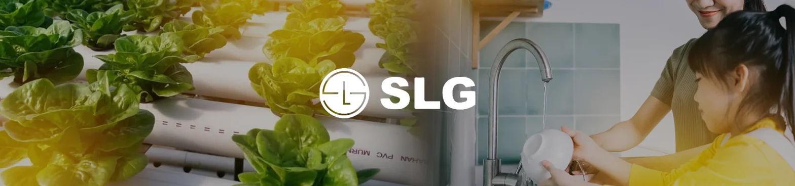 Pipa SLG